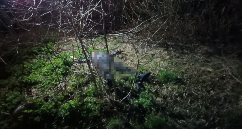 В Дзержинске под окнами многоэтажки нашли труп мужчины