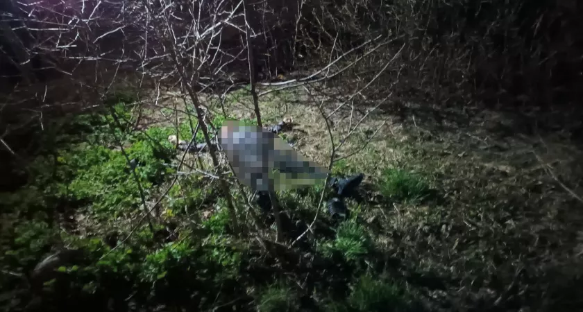 Фото к статье: В Дзержинске под окнами многоэтажки нашли труп мужчины