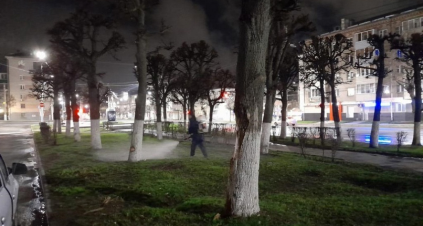 В нижегородские парки выйдут специалисты, чтобы опрыскать все от клещей