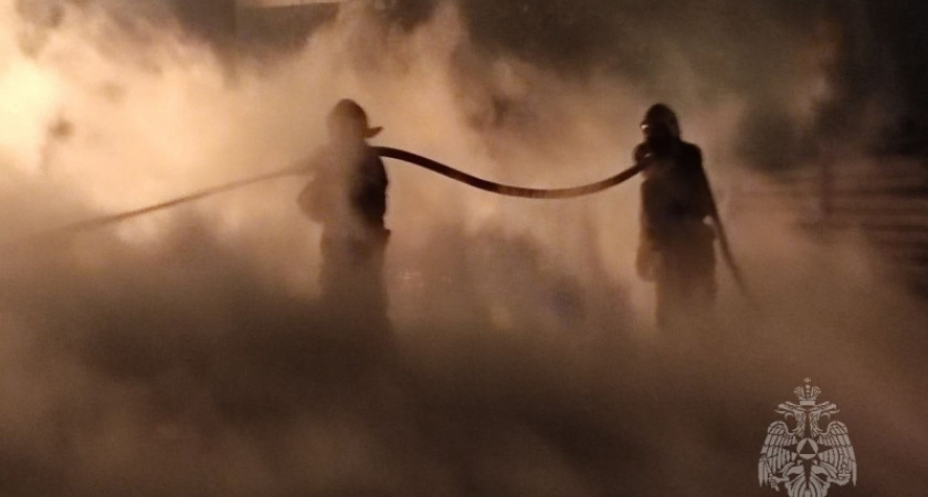 В Дзержинске потушили пожар на на двухкилометровой площади 