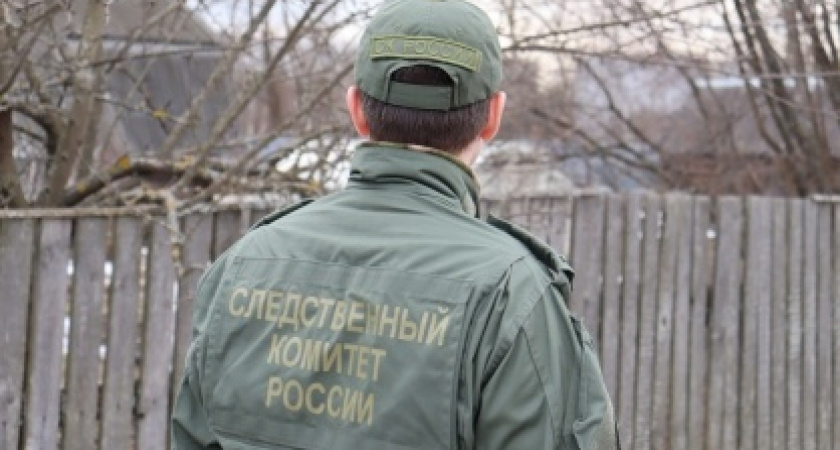 Педофил после 18 лет тюрьмы вновь напал на девочку в Нижнем Новгороде