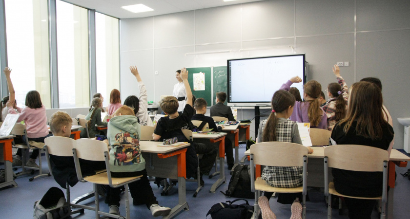 Бастрыкин поручил проверить принцип набора учеников в "Школу 800"