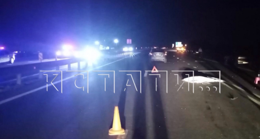 В Арзамасском районе водитель протащил сбитых пешеходов 80 метров: суд принял решение