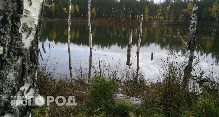 В Кстовском районе нашли тело 10-летнего мальчика, пропавшего 23 февраля