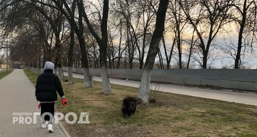 Фото к статье: В Нижегородской области температура упадет до минуса и пойдет снег