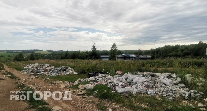 Бастрыкин поручил проверить кстовские свалки