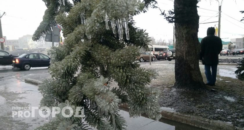 Фото к статье: На Нижегородскую область снова надвигаются заморозки