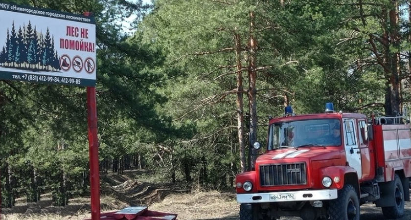 За отдых в нижегородских лесах могут оштрафовать на сумму от 40 тысяч рублей