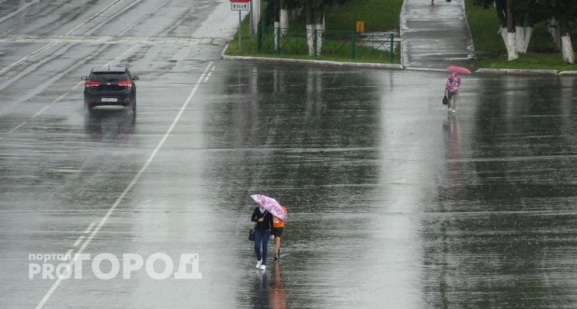 Фото к статье: В Нижегородскую область к концу недели нагрянут дожди