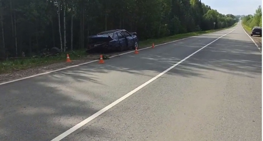 Водитель вылетел на скорости в кювет и погиб в Нижегородской области