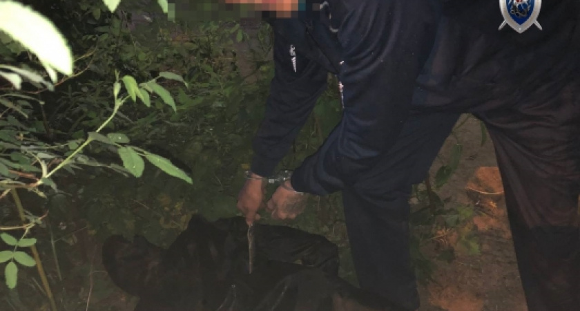 Рецидивист из Чувашии напал на нижегородца