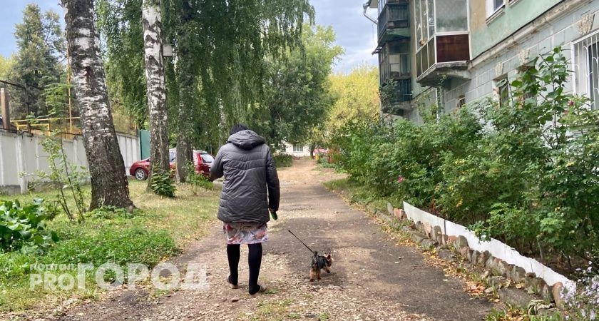 Фото к статье: Госдума ввела новые штрафы за жестокое обращение с животными