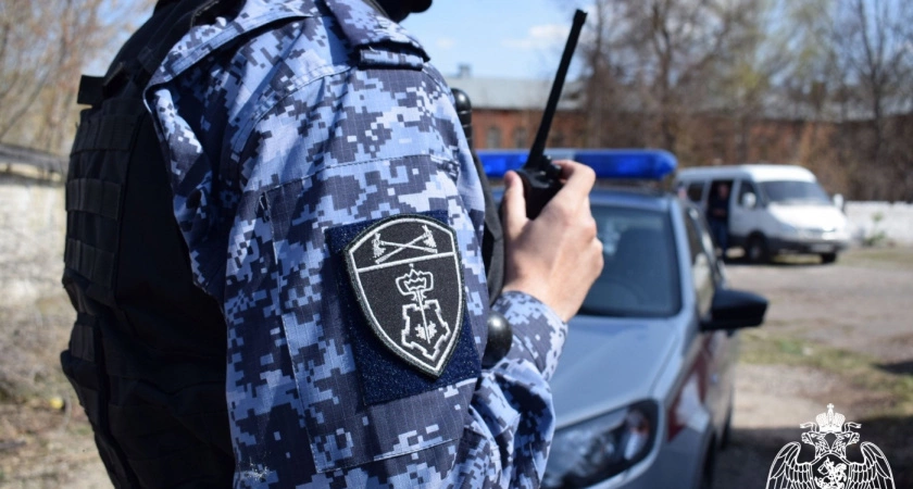 Фото к статье: В нижегородском отеле задержали женщину, которая целилась пистолетом в постояльцев