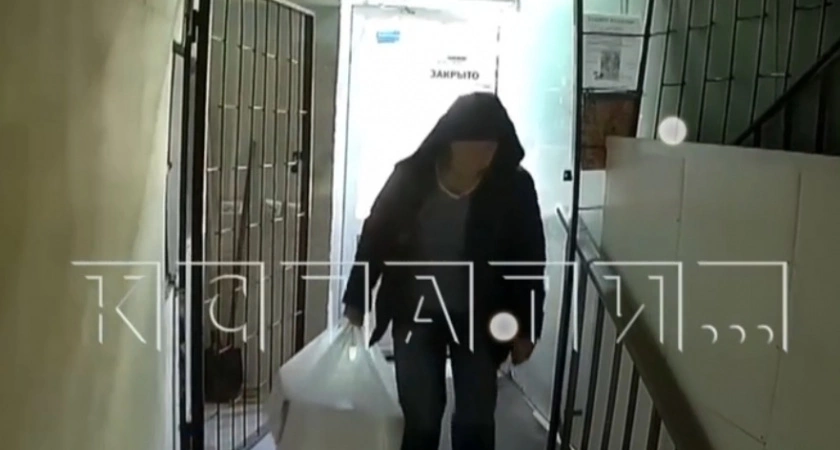 Фото к статье: Работники зоомагазина заперли в подсобке нижегородку, подбрасывающую им котят