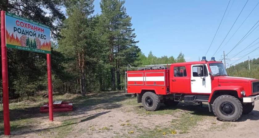 Фото к статье: Более 120 нижегородцев получат штраф за разведение костров и сжигание мусора