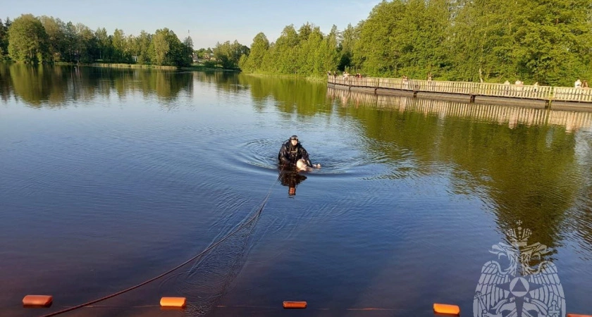 Фото к статье: Водолазы вытащили тело мужчины из озера в Семенове