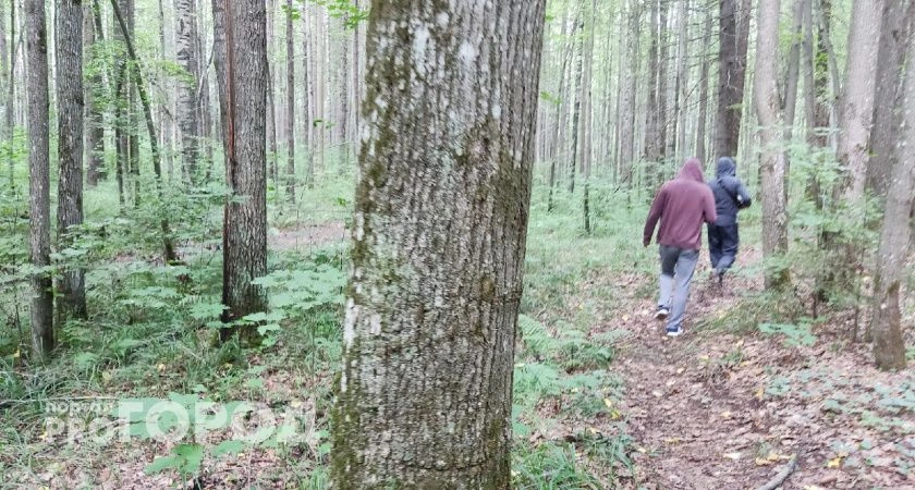 Фото к статье: Нижегородцев предупредили о погодной опасности: продлится всю неделю