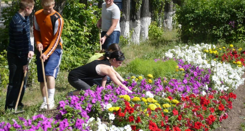 Более 300 подростков будут сажать цветы и подметать улицы в Нижнем Новгороде