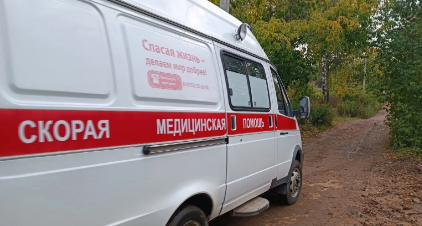 Фото к статье: В Нижегородской области фиксируют первые смерти от паленого сидра