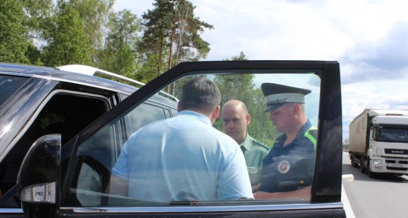 Фото к статье: ГИБДД проводит на нижегородских дорогах рейд по лосям