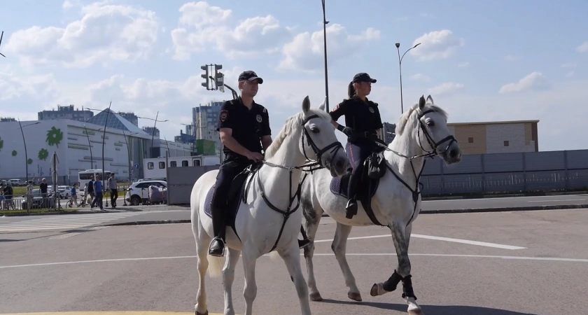 Фото к статье: Преступников Нижнего Новгорода будут гонять на конях