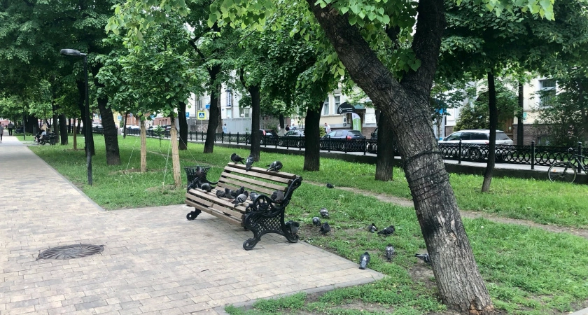 Фото к статье: В Арзамасе появятся парк и площадка для детей с ограниченными возможностями здоровья