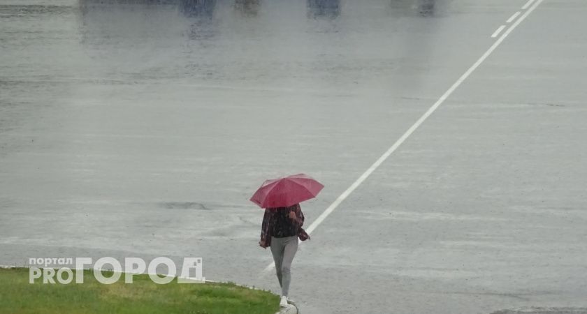 Летний дождь освежит нижегородцев в пятницу
