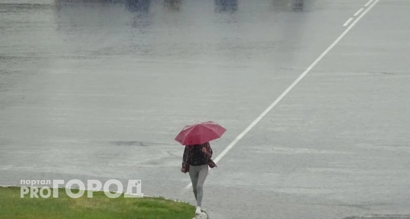 Фото к статье: Летний дождь освежит нижегородцев в пятницу