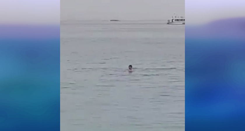 "Вон она его останки доедает": в Египте акула съела российского туриста