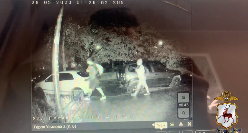 Нижегородцев, ограбивших пункт выдачи заказов Wildberries, поймали