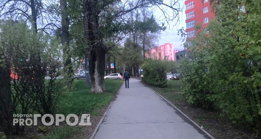 Посетитель парка в Нижнем Новгороде сломал челюсть контролеру