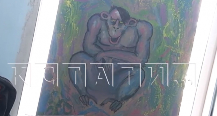 Жителей Дзержинска шокировала библиотечная выставка с откровенными картинами