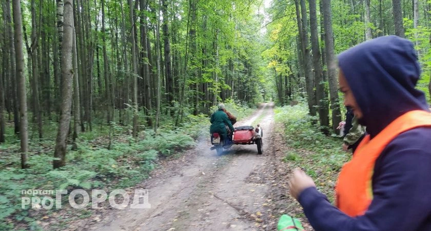 Фото к статье: Опасные клещи в Нижегородской области: уже два случая заражения энцефалитом