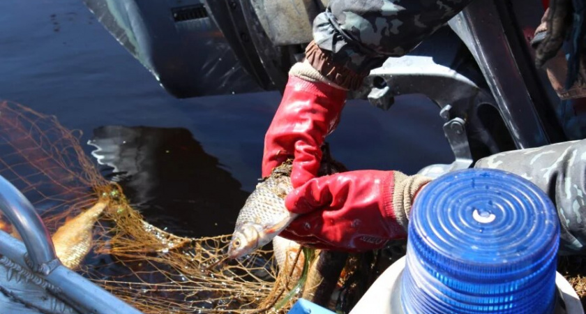 Штрафы больше не грозят: для нижегородских рыбаков сняли важный запрет
