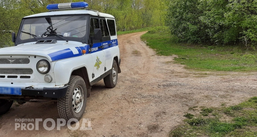 Фото к статье: Девочку, исчезнувшую из кстовской больницы, нашли спустя семь дней