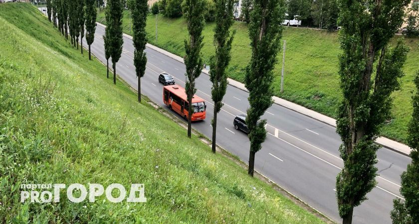 Женщина с собакой парализовала движение автобуса, выгнали ее только вооруженные люди