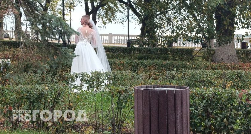 8 июля Нижегородскую область заполонят невесты и женихи