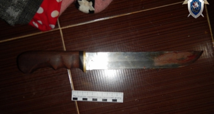 Женщину из Арзамаса посадили на 8 лет за убийство