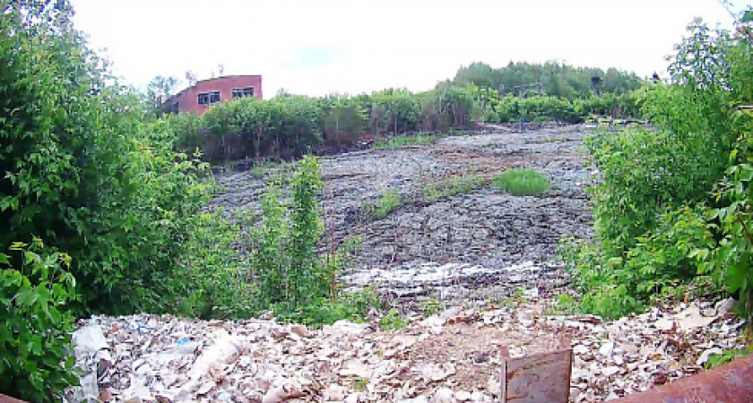 Балахнинскую картонную фабрику обвиняют в захламлении территории
