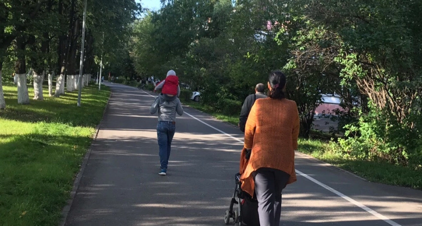 Фото к статье: Жительница Вознесенского района хотела украсть маткапитал у своего ребенка