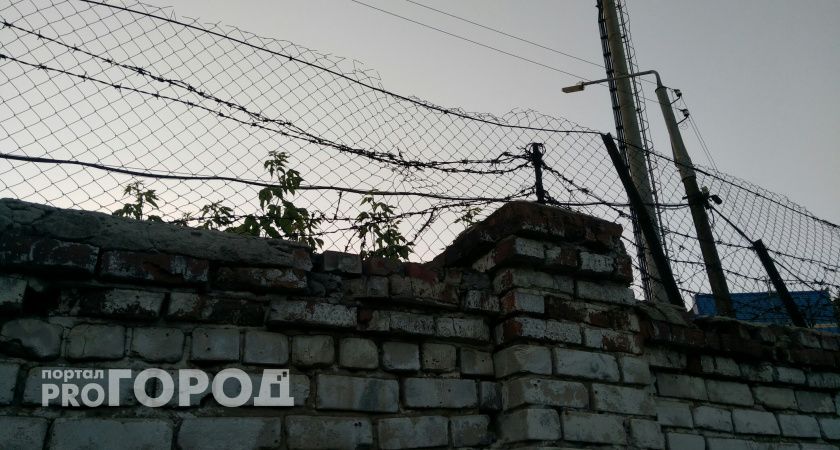 Борский педофил обиделся и потребовал от колонии 17 миллионов 