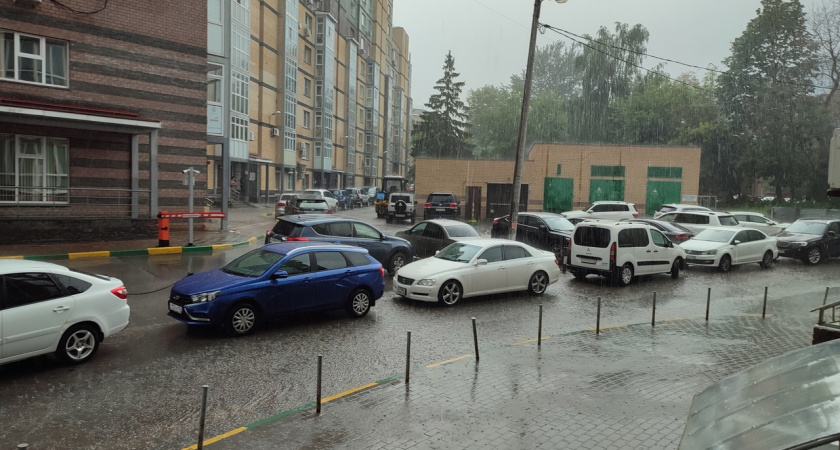 В ближайшие часы до Нижегородской области дойдут ливневые дожди