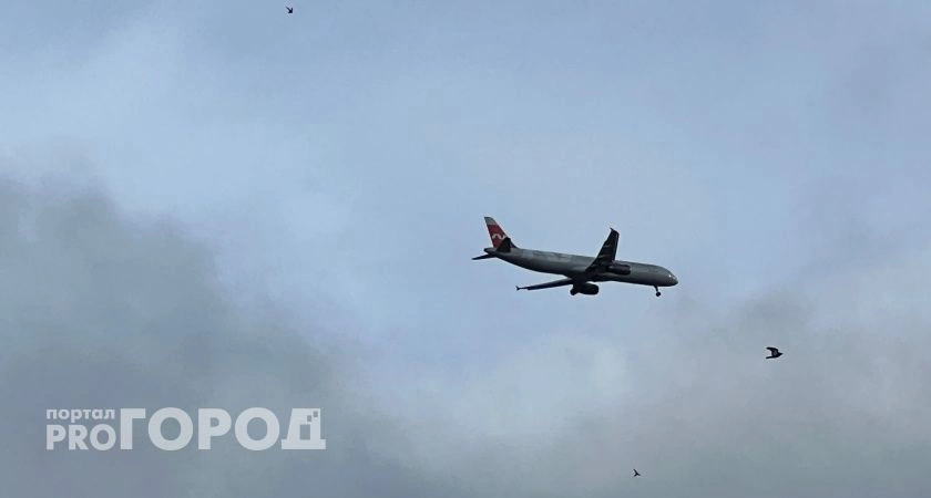 Фото к статье: Самолет до Нижнего Новгорода экстренно сел из-за инсульта пассажира