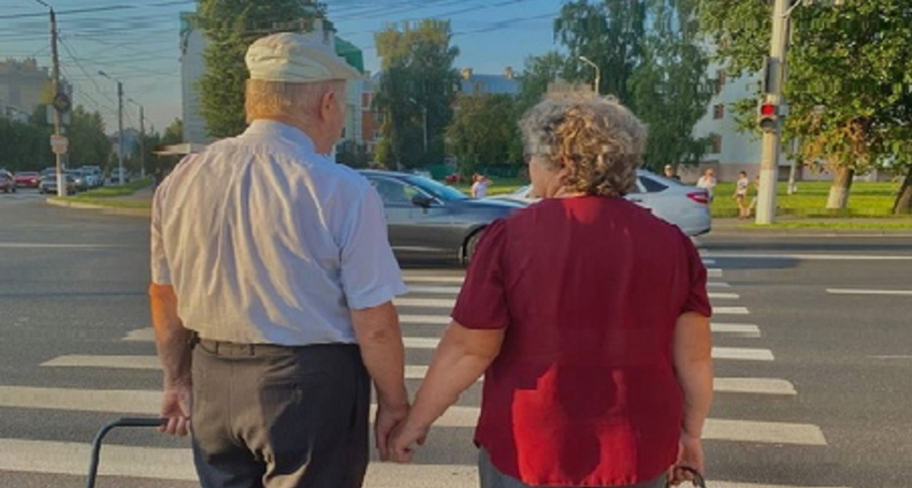 Ветераны ВОВ в Нижегородской области смогут бесплатно заказать клининг и выгул собаки