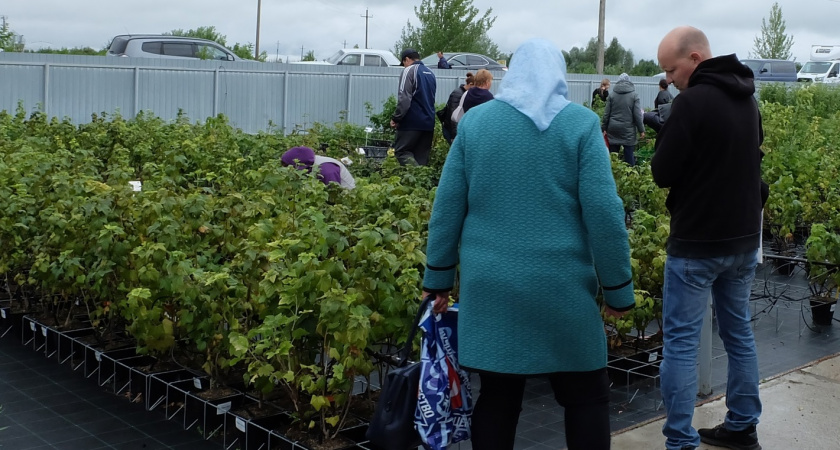 Потеряете в деньгах, если не сделаете вовремя: юрист предупредила всех будущих пенсионеров