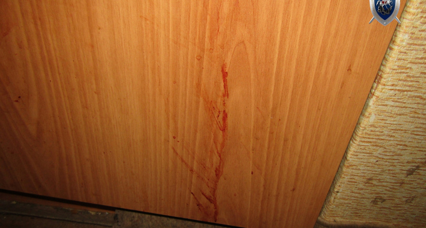 Жителя Вадского района приговорили к строгому режиму за жестокое убийство