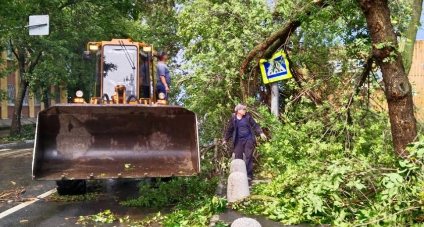Фото к статье: Упавшие во время грозы деревья перекрыли движение на некоторых улицах в Нижнем Новгороде