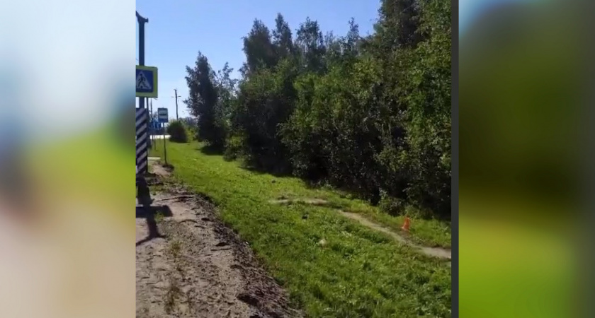 День смертельных ДТП: мотоциклист врезался в столб и погиб в Нижегородской области