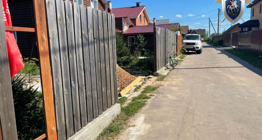 В Богородском районе расследуют нападение собаки на ребенка