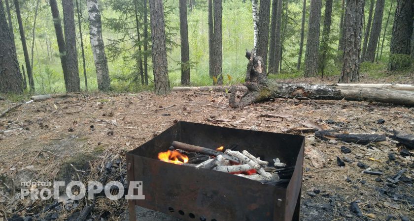 Бабушка с внуком пострадали при взрыве канистры в мангале в Павловском районе